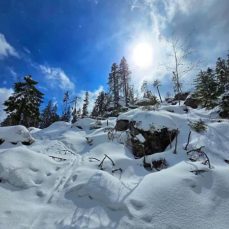 Florian Дом отдыха Цвизель