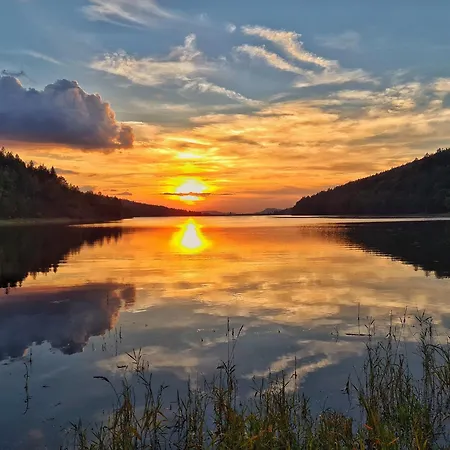 Florian * ツヴィーゼル